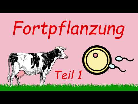 , title : 'Fortpflanzung - Teil 1 | Podcast | Kuhles zum Kauen'