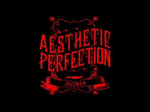 Aesthetic Perfection - Inhuman (Combichrist Remix)