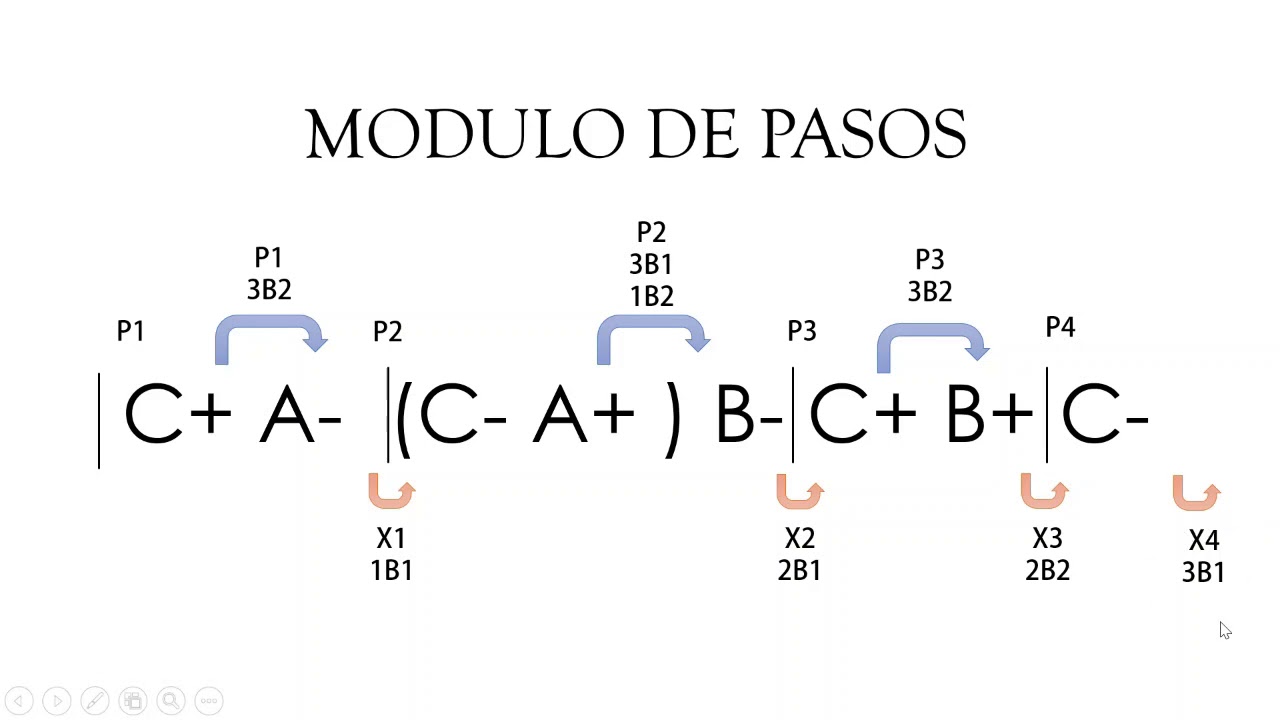 Método de Modulo de Pasos en FluidSim