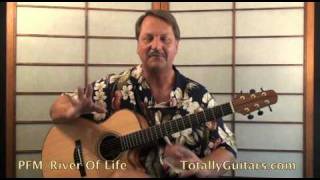 PFM - River Of Life Guitar Lesson Preview