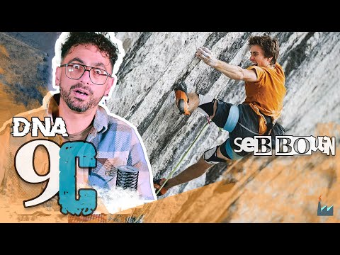 Seb Bouin on DNA - #reaction (link al docu in descrizione)