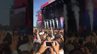 Bad Bunny X Lollapalooza - 200 mph