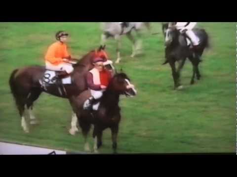 Nagroda Oaks - 10.09.1995 - Atencja (Eukaliptus - Arena)