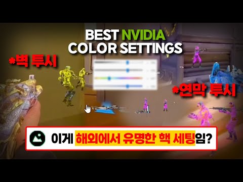 합법 ESP가 가능한 엔비디아 세팅법 ㄷㄷ 레전드