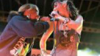 Santogold -i&#39;m a lady (Diplo remix feat amanda blank)