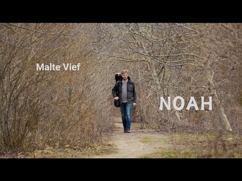 Malte Vief - Noah - Kammer II