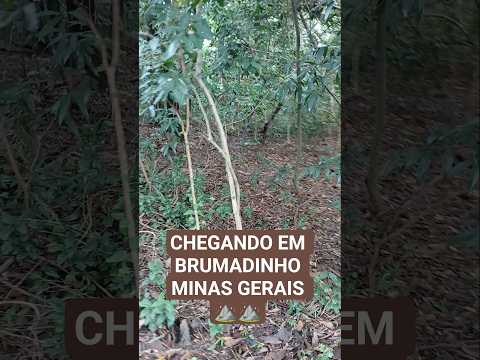 CHEGANDO EM BRUMADINHO MINAS GERAIS  ⛰️⛰️ - Canal Bicho Esperto 🦥 🇧🇷