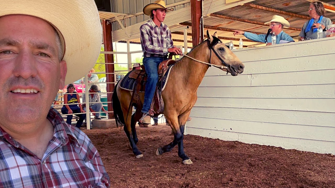 SELLING OUR HORSES AT A AUCTION | WE LEARNED A LOT!