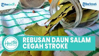 Minum Air Rebusan Daun Salam Bagus untuk Kesehatan Tubuh: Percepat Penyembuhan Luka & Cegah Stroke