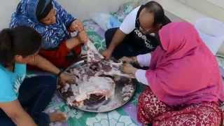 preview picture of video 'Sacrificed Goat Preparation on Eid al-Adha in Omani Village'