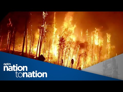 Status card report says First Nations people in B.C. feeling 'micro-aggressions' | Nation to Nation