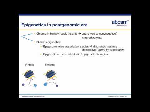 Epigenetic Editing: towards reprogramming of gene expression