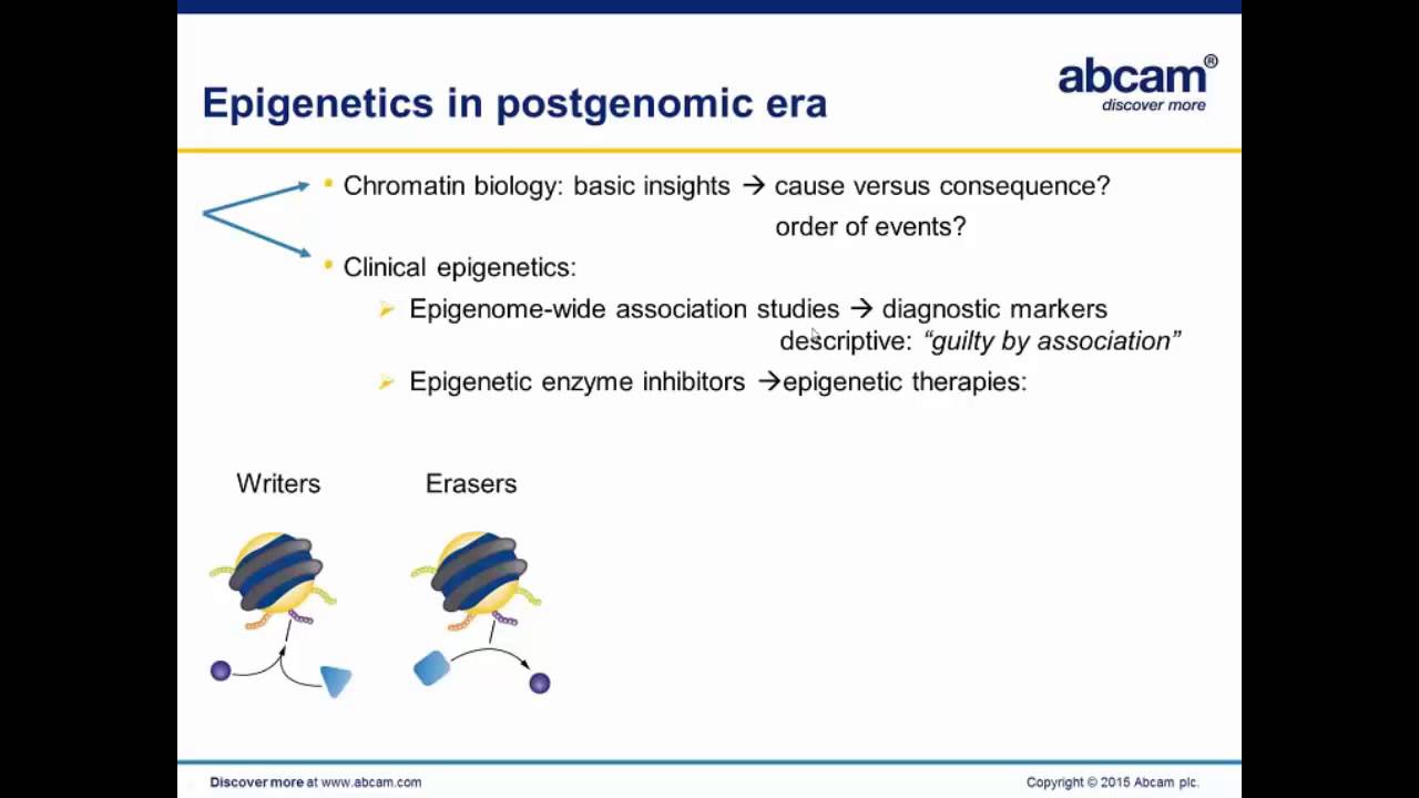 Epigenetic Editing: towards reprogramming of gene expression