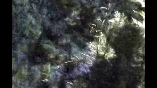 Jane Birkin -Baby alone in Babylone