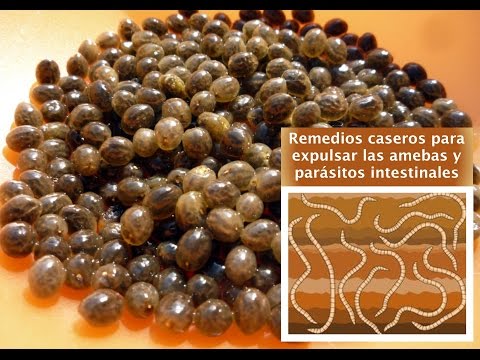 Farmaci per parassiti a una lattazione Dove fare prove su helminths