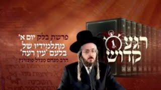 הרב מנחם מנדל פומרנץ | רגע קדוש מהאור החיים - פרשת בלק יום א' • מתלמידיו של בלעם 'עין רעה' •