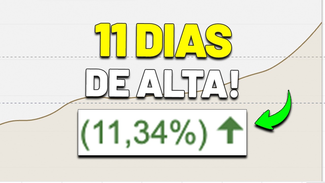 O FLUXO VOLTOU para a BOLSA? CARTEIRA DE DIVIDENDOS do BTG: QUAIS NOMES PODEM PAGAR BONS DIVIDENDOS?