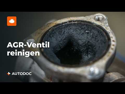 2 ways to clean the EGR valve – which is better?