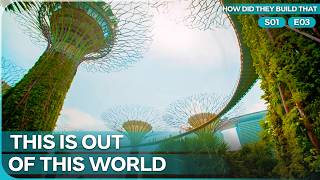 Engineering an Artificial Jungle | How Did They Build That Season 1 Episode 3