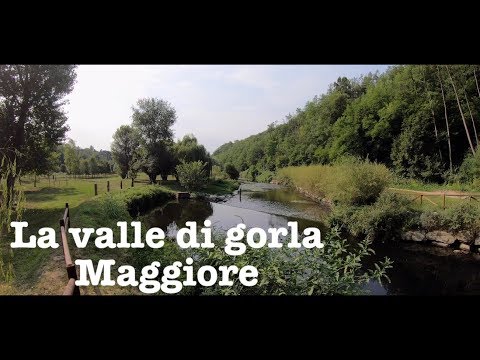 Valle di Gorla Maggiore 4k
