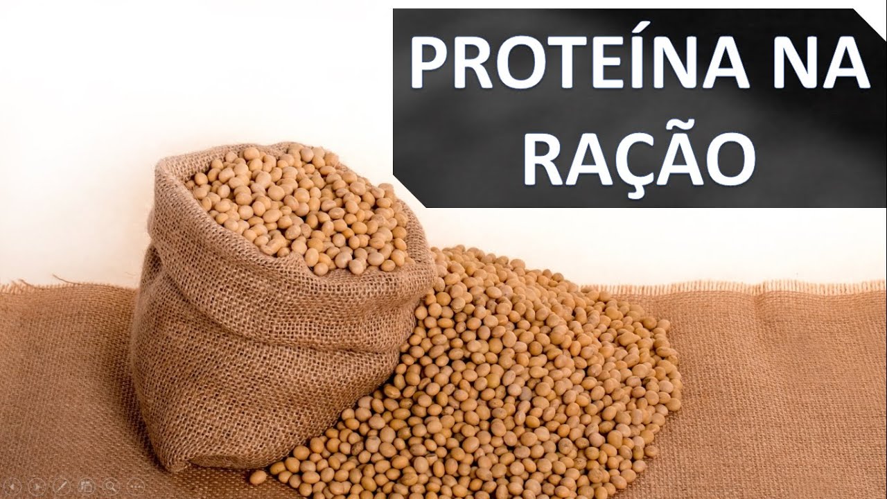 PROTEÍNA na ALIMENTAÇÃO DAS AVES