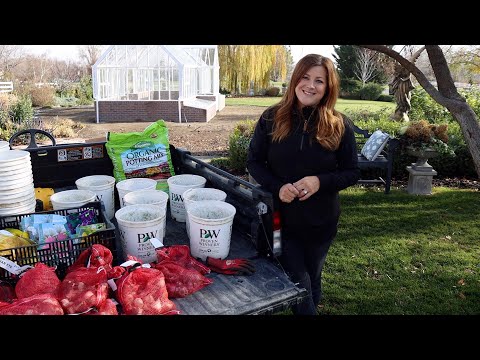 Planting Spring Blooming Bulbs in Containers! 🌷🌷🌷 // Garden Answer