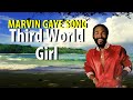 Marvin Gaye Third World Girl
