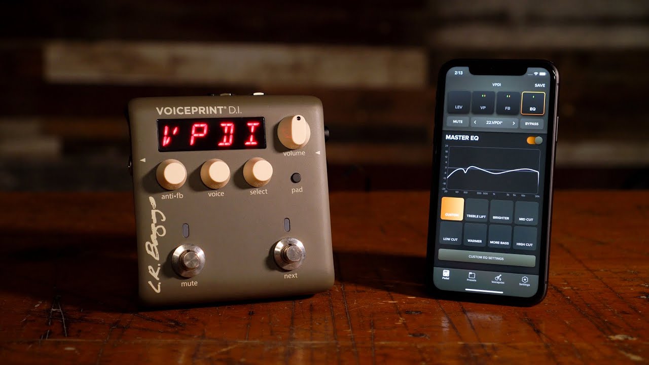 LR Baggs Voiceprint DI