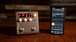 Voiceprint DI & AcousticLive App Introduction