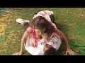 2023 Telugu Drama Video Yazali