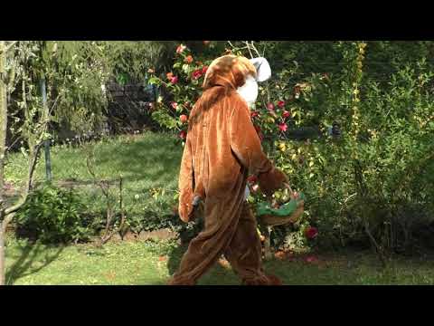 Chiropraktik Osterhase