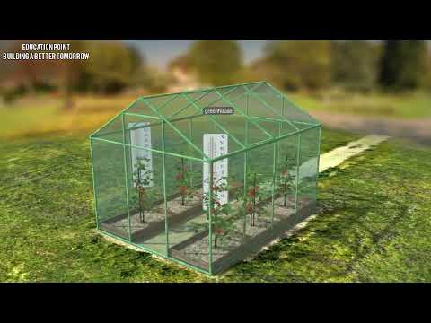 Green house effect and Global warming: еnvironmental consequences and it’s causes