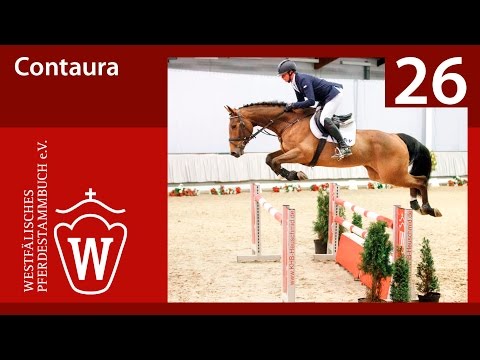 26 Contaura Wallach v. Contendro II - Lancer III