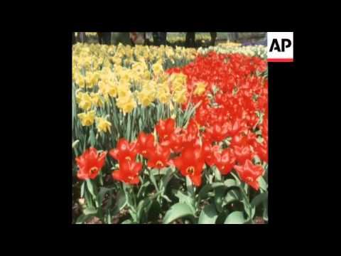 SYND 18 4 76 EASTER PERIOD IN THE NETHERLANDS