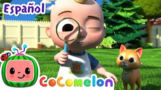 Thumbnail del capítulo