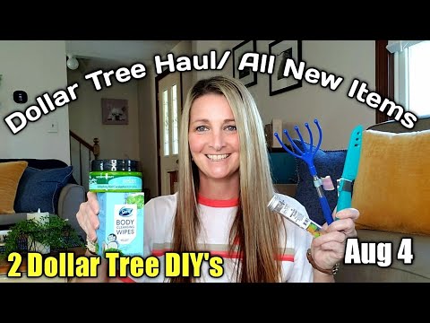 Dollar Tree Haul /All New Items/ 2 DT DIY's  Aug 4 Video