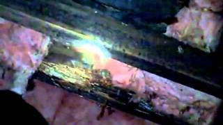 Wood Decay Destroys Floor Structure Found by Franklin TN Home Inspector.wmv