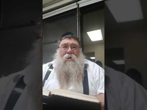 Practical Chasidus w R' Chaim Dalfin - Maamar Vata Titzave 1981 #4