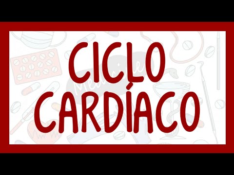 CICLO CARDÍACO | ¡Fácil explicación! (Fisiología)