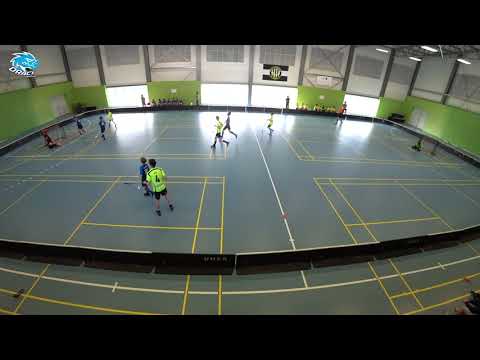 2019-04-06 FBC Draci Říčany bílí x Viking TJ Kobylisy  1:9