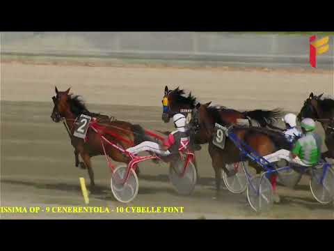 V Corsa del 4 Giugno 2022 - 4 Anni - Metri 1600