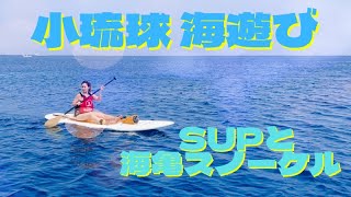 【台湾遊びスポット】3月から泳げる！小琉球でSUPと海亀スノーケル！SUP and sea turtle snorkeling in Xiaoliuqiu [ENG sub]