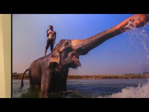 Wystawa pt. ``Marcin Dobas – Fotowyprawy''