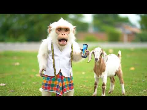 Mutton Vlog Gorakhpur Trip