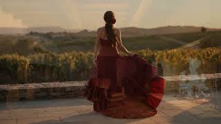 Olga Tañón - Se Nos Rompió El Amor (Visualizer)