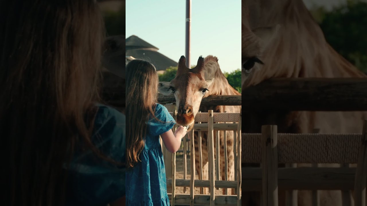 YouTube Short thumbnail