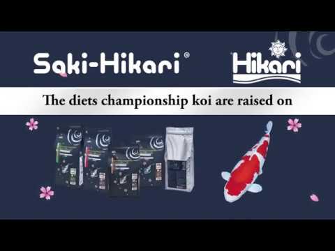 Корм для улучшения белого цвета у кои Saki Hikari Pure White Video #1