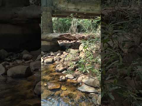 Beautiful butterfly #nature#pure water from hills# 😘