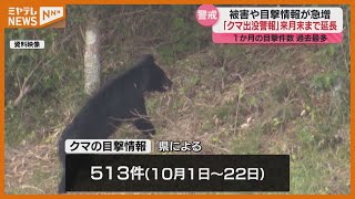 【延長】宮城県「クマ出没警報」期間を11月30日までに、クマ被害や目撃情報が急増