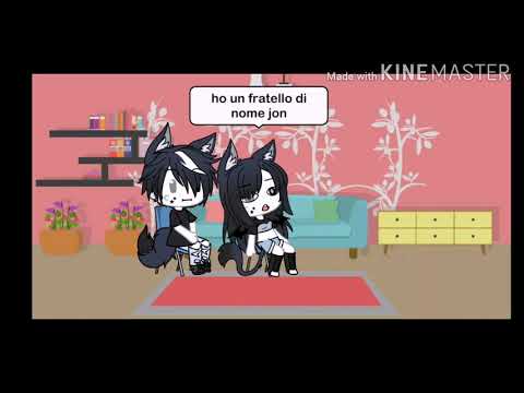 Vi presento mio fratello